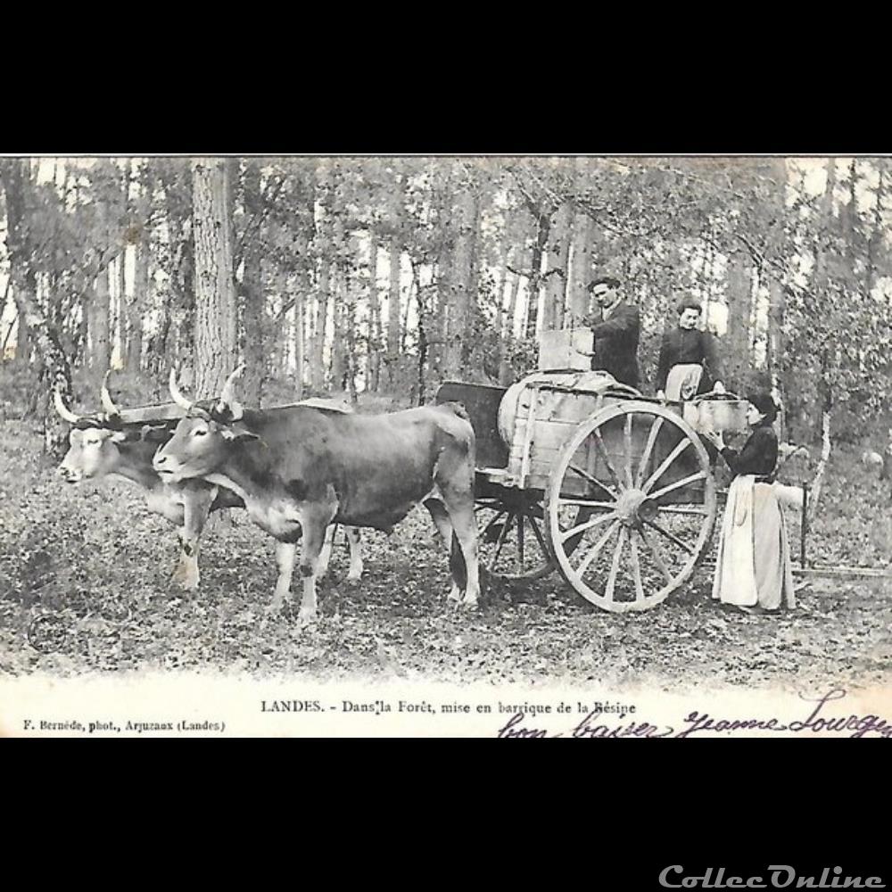 divers carte postale 40 landes