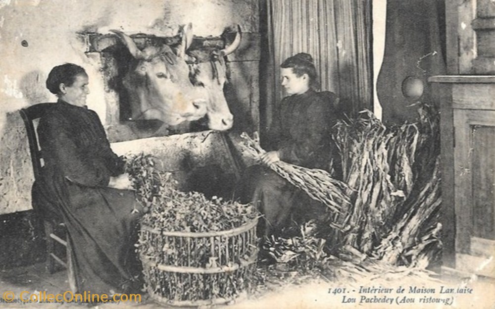 Carte Postale (40) Landes divers carte postale 40 landes