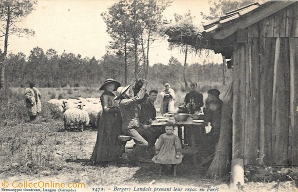 divers carte postale 40 landes