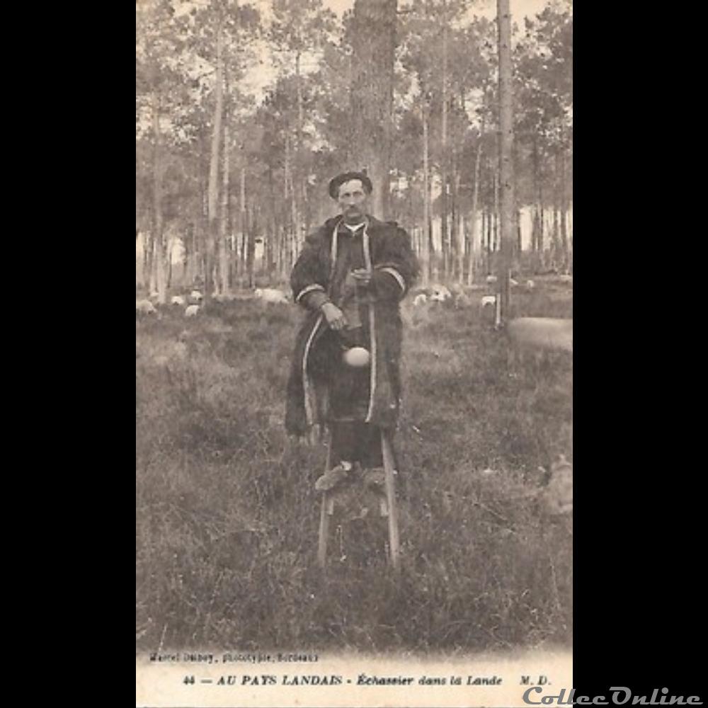 Carte Postale (40) Landes autre france assignat carte postale 40 landes