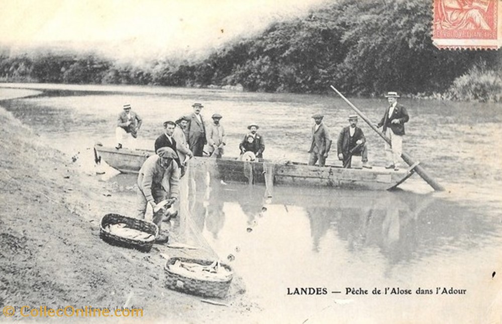 Carte Postale (40) Landes divers carte postale 40 landes
