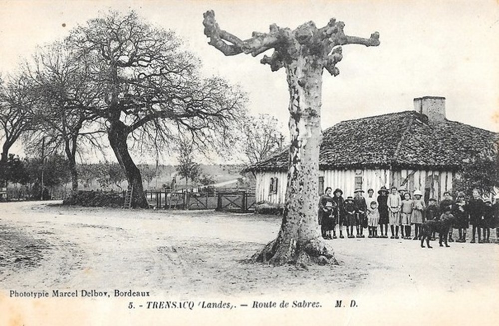 Carte Postale (40) Trensacq divers carte postale 40 trensacq