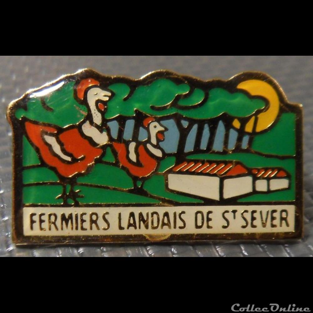 Pin's (40) Saint Sever autre france assignat pis 40 saint sever