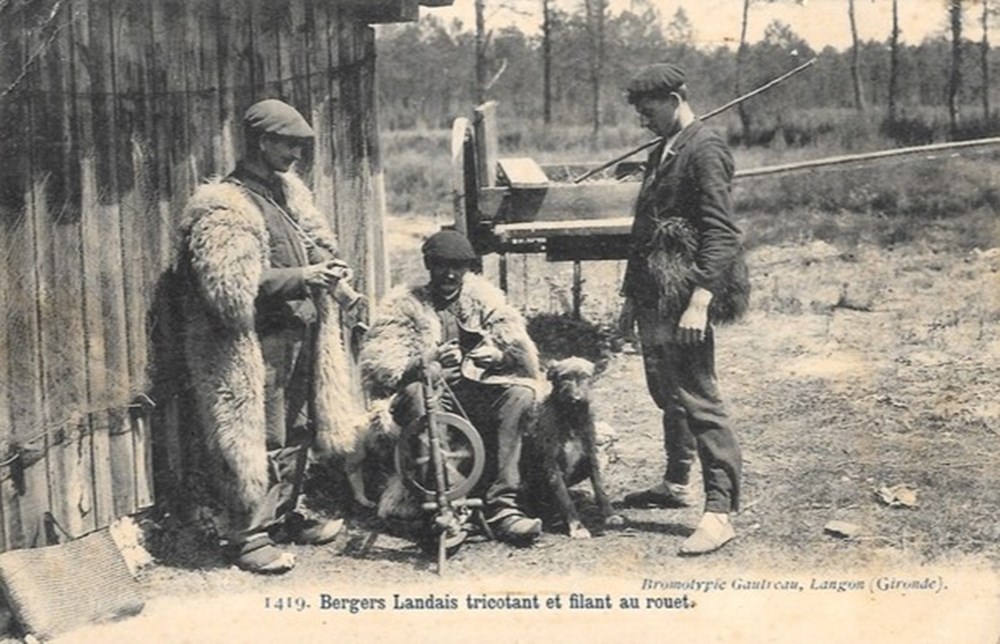 Carte Postale (40) Landes divers carte postale 40 landes