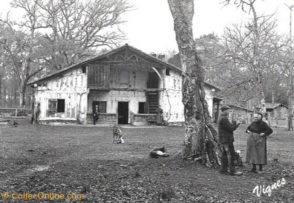 Carte Postale (40) Landes divers carte postale 40 landes