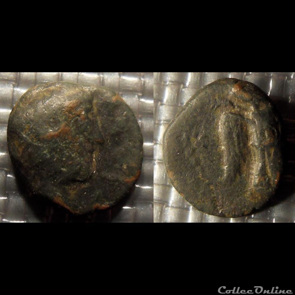 Petit bronze d'Antibes monnaie antique gauloise petit bronze antibes