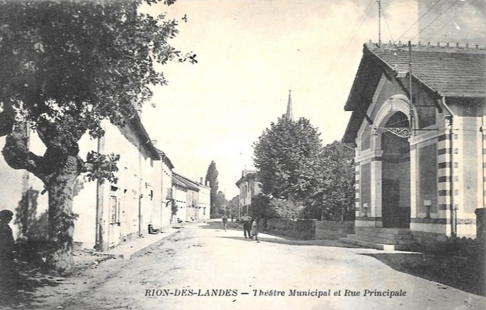 Carte Postale (40) Rion-des-Landes divers carte postale 40 rion des landes