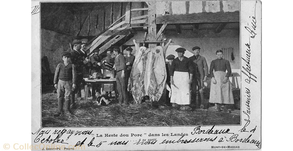Carte Postale (40) "La Heste dou Porc" dans les Landes ..à sa santé autre carte postale 40 la heste dou porc dans les landes a sa sante