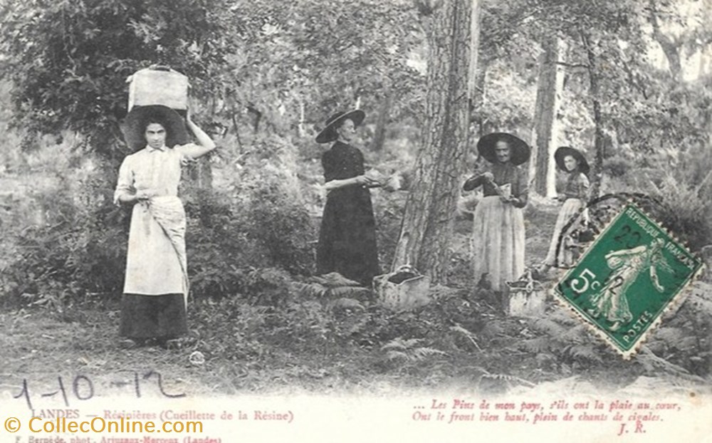 Carte Postale (40) Landes divers carte postale 40 landes