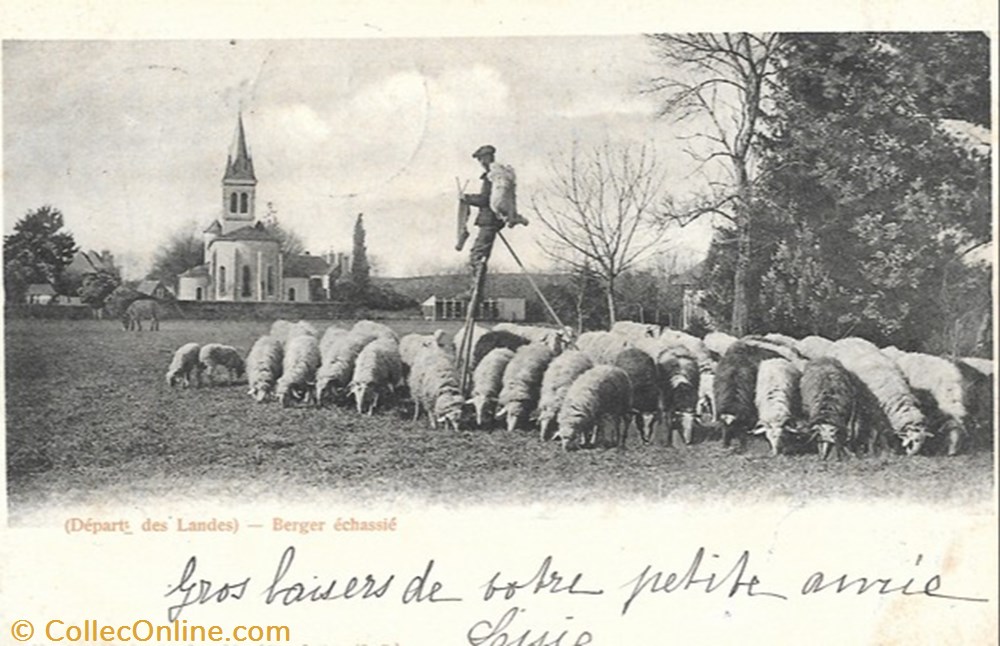 autre carte postale 40 landes