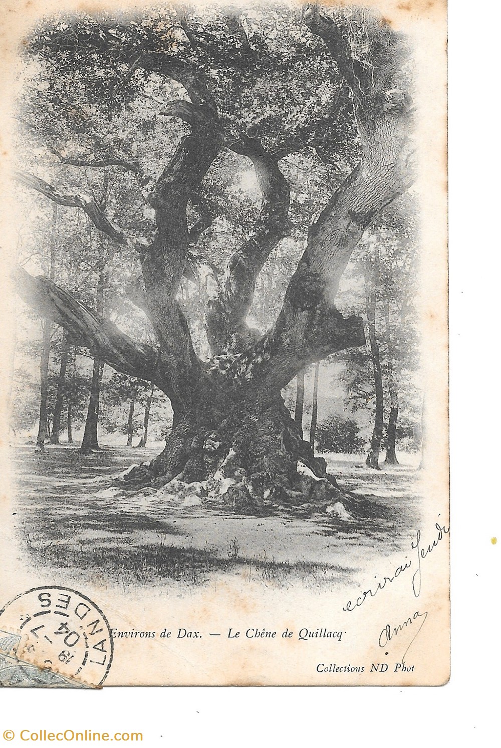 Carte Postale (40) Dax divers carte postale 40 dax