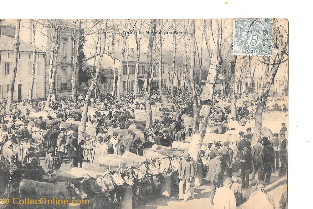 Carte Postale (40) Dax divers carte postale 40 dax
