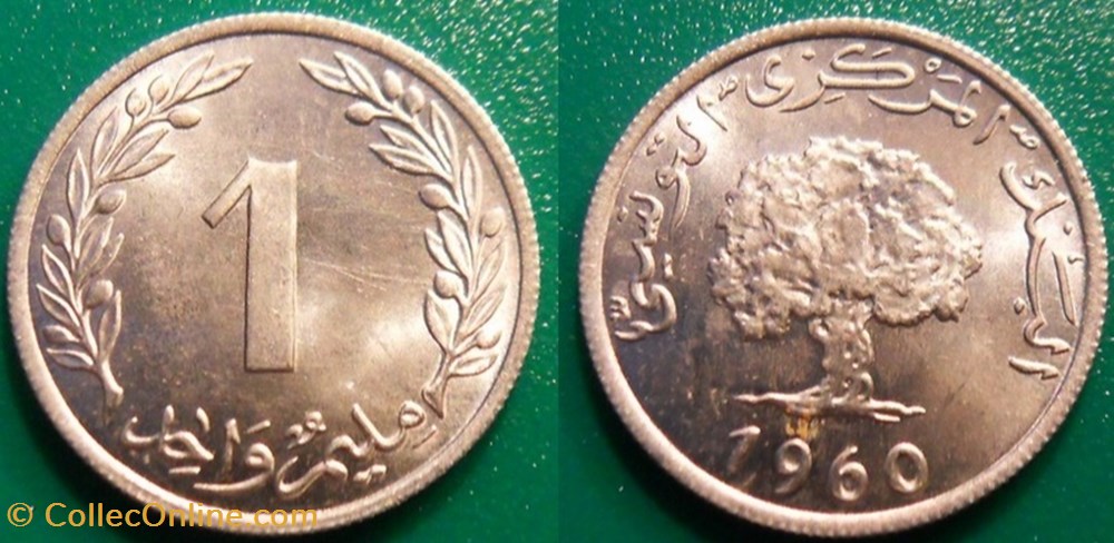 1 Millime 1960 monnaie monde tunisie 1 millime 1960