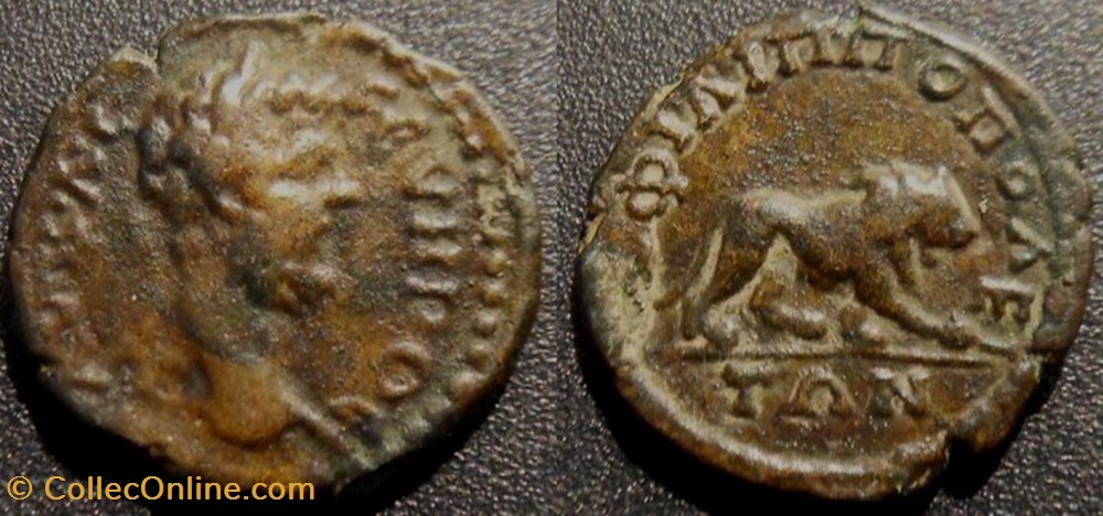 E- Les Sévères Septime Sévère Assarion monnaies antiques romaines imperiales et republicaines e les severes septime severe assarion