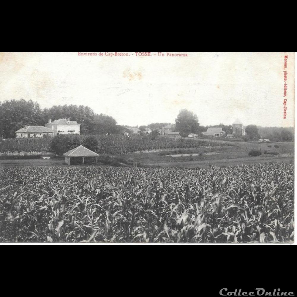 Carte Postale (40) Tosse autre france assignat carte postale 40 tosse