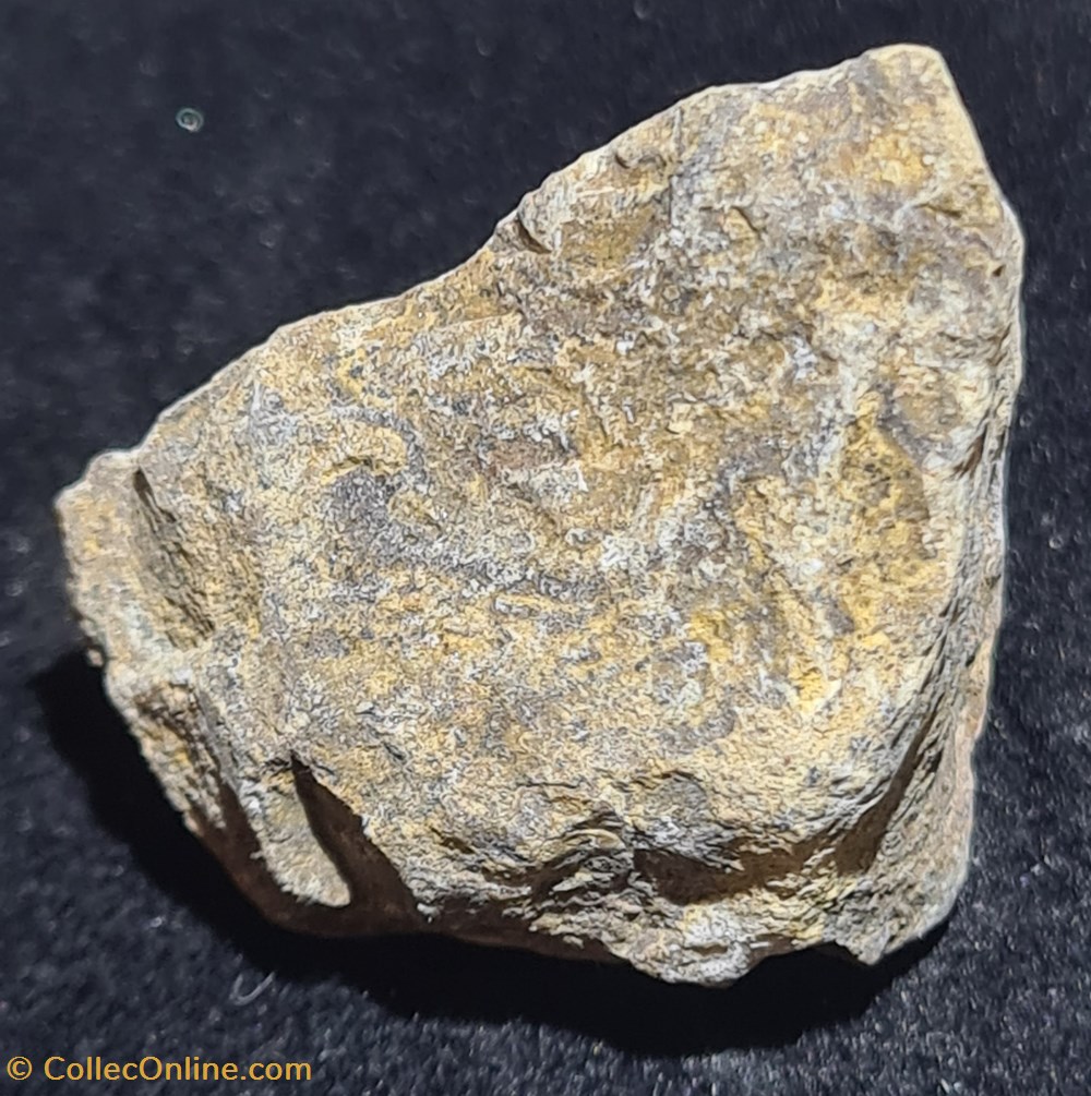 Stromatolite mineraux meteorites stromatolite