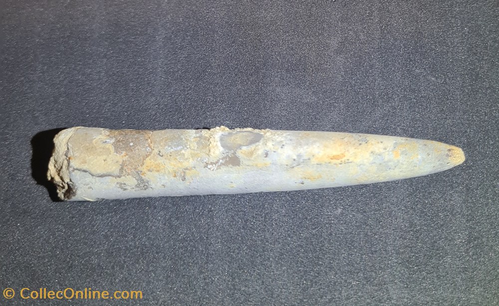 Belemnite coquillages fossiles belemnite