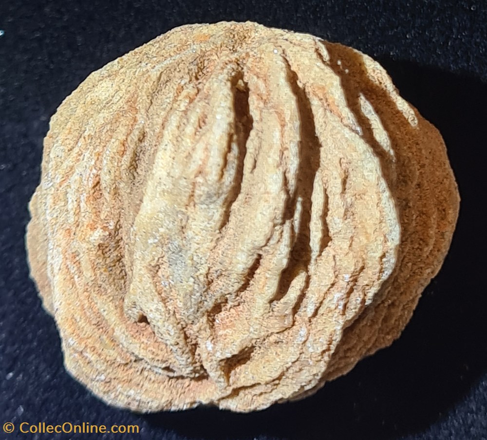 Rose des sables mineraux meteorites rose des sables