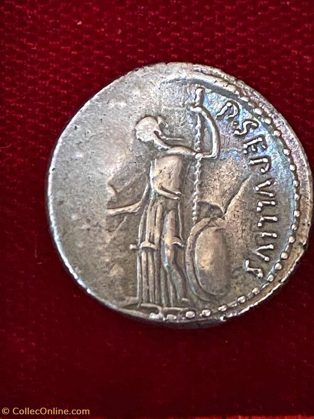 Julius Caesar - Sepullius Macer. Denar . munzen antike bis romische republik und imperial julius caesar sepullius macer denar