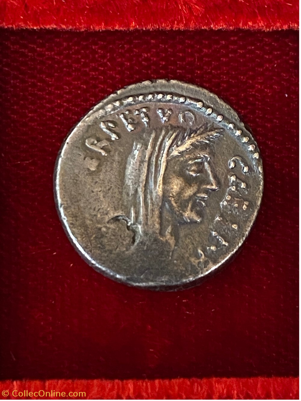 Julius Caesar - Sepullius Macer. Denar . munzen antike bis romische republik und imperial julius caesar sepullius macer denar