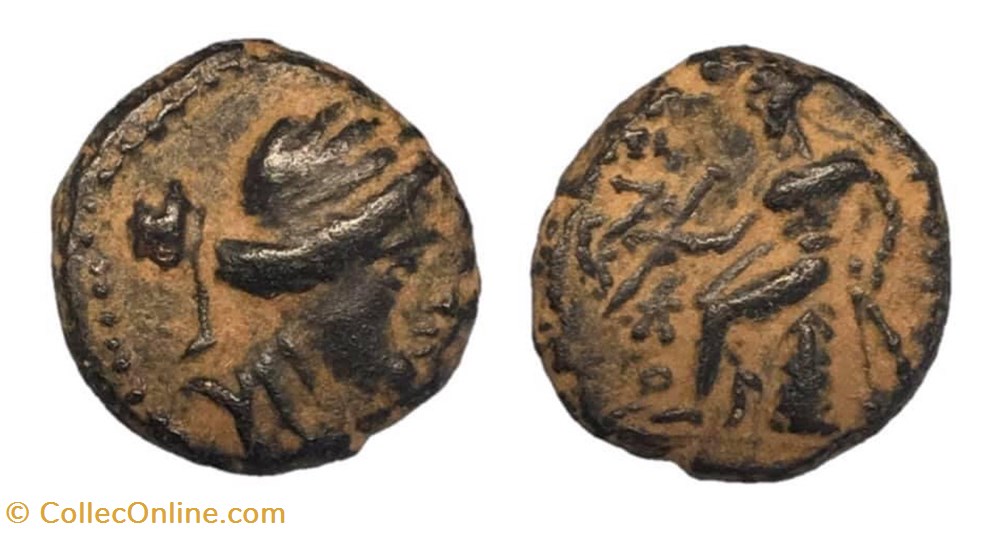 coins antique b to seleucid kingdom seleucus iii ceraunus