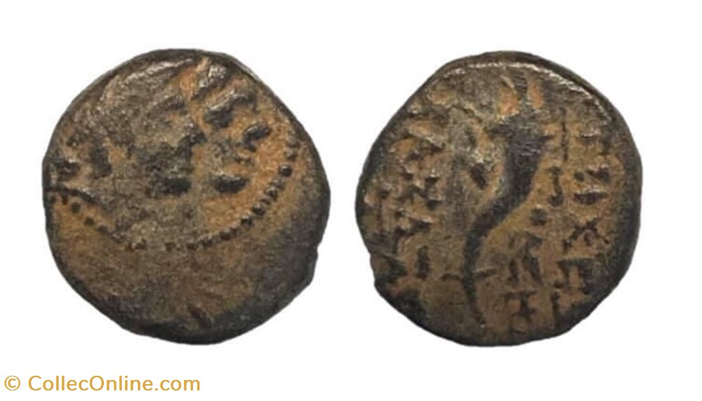 coins antique b to seleucid kingdom cleopatra theo and antichos viii