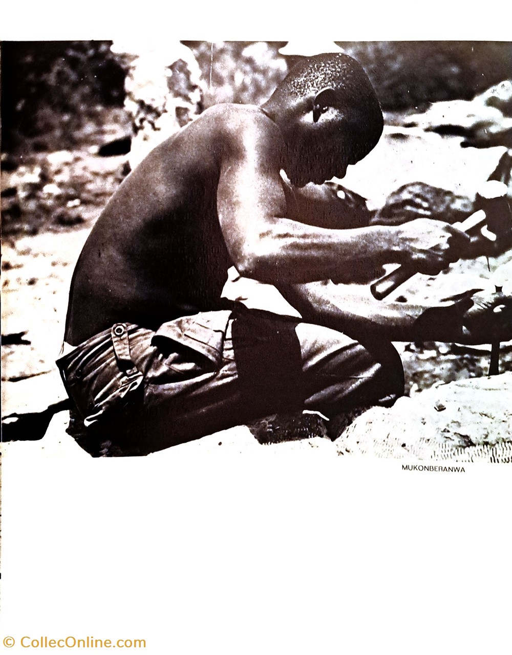 books comics magazines 1971 sculpture contemporaine des shonas afrique