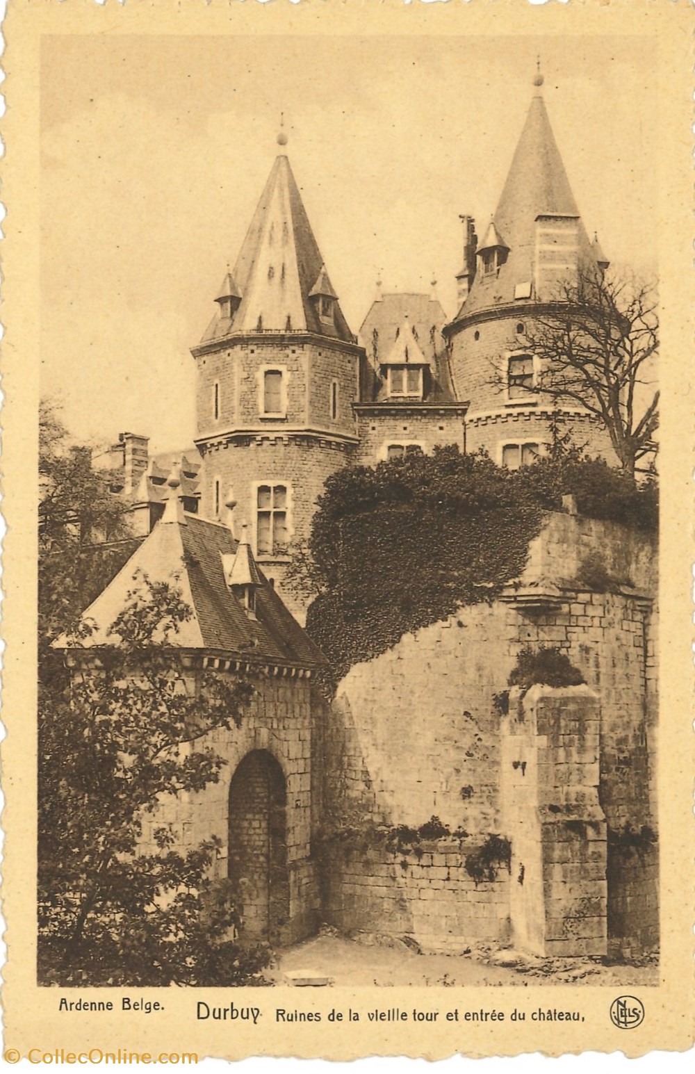 cartes postales europe belgique dham cp caerd 0084