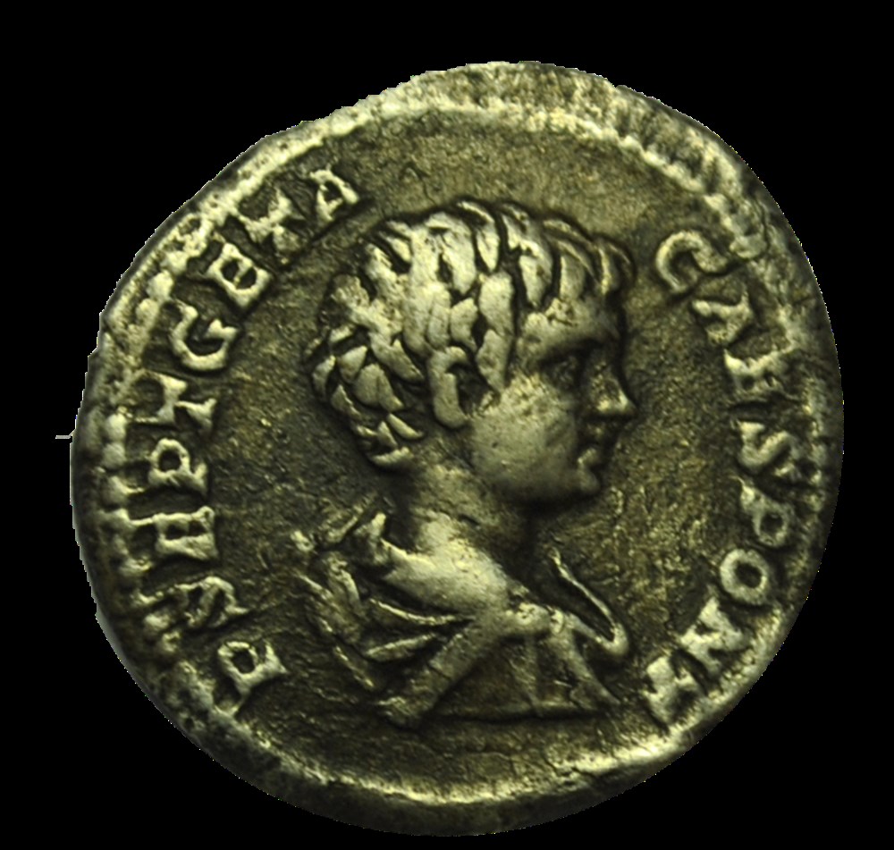 monnaies geta denier securit imperi 202
