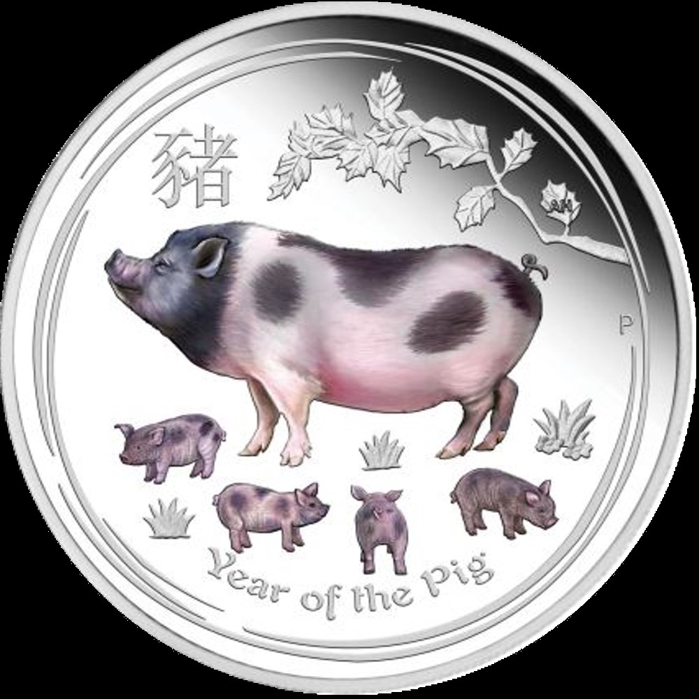 monnaies australian lunar 1oz argent coloree annee du cochon 2019