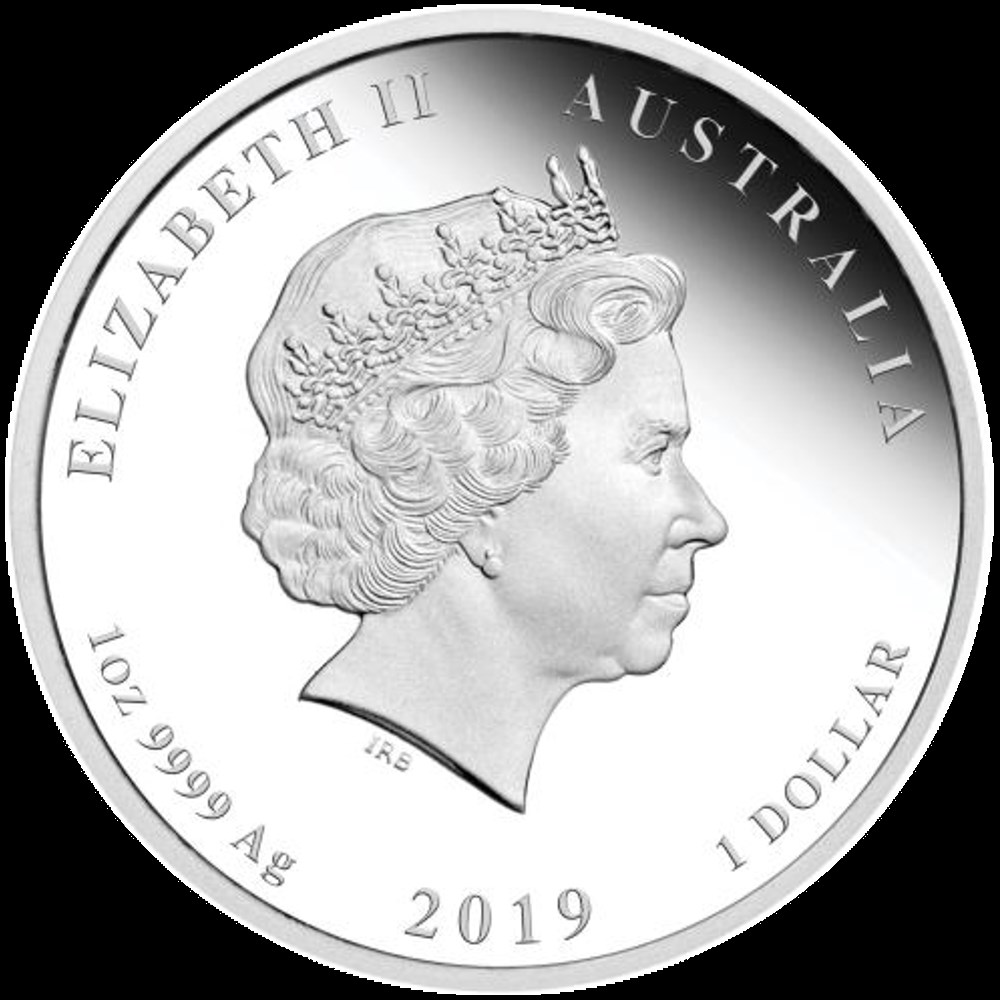 monnaies australian lunar 1oz argent coloree annee du cochon 2019
