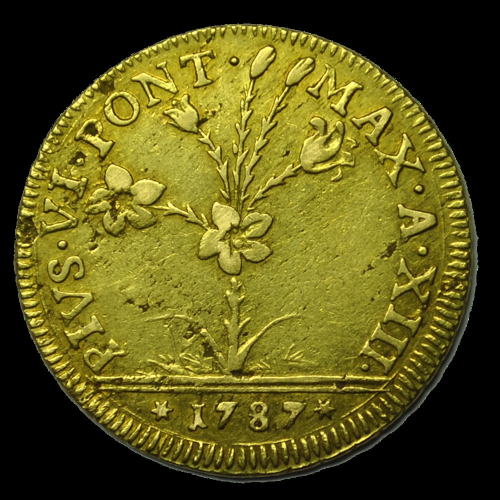monnaies pie vi 2 doppie 1787 bologne