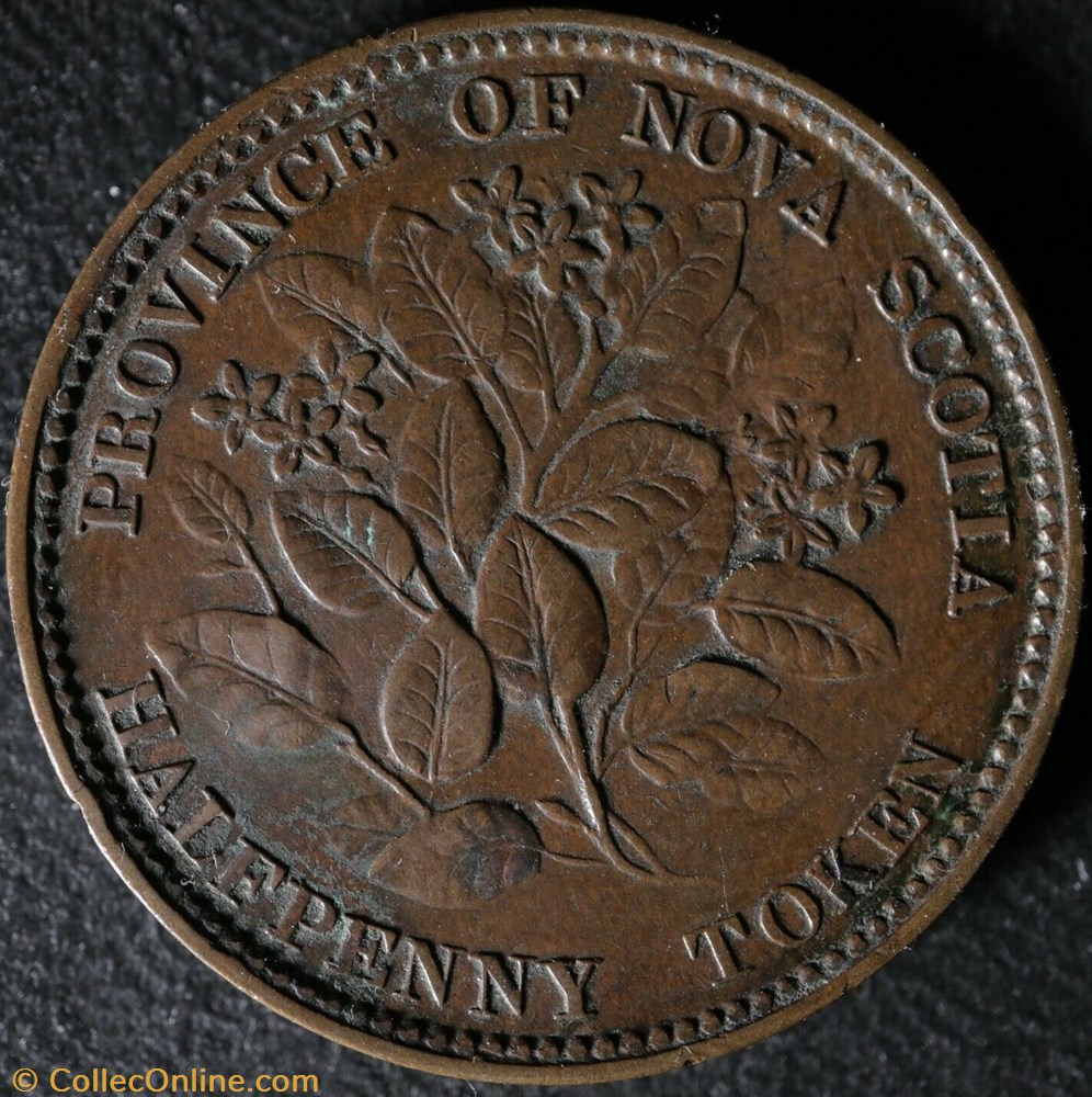 Victoria - HalfPenny 1856 - Nova Scotia 4 monnaie monde canadum victoria halfpenny 1856 nova scotia