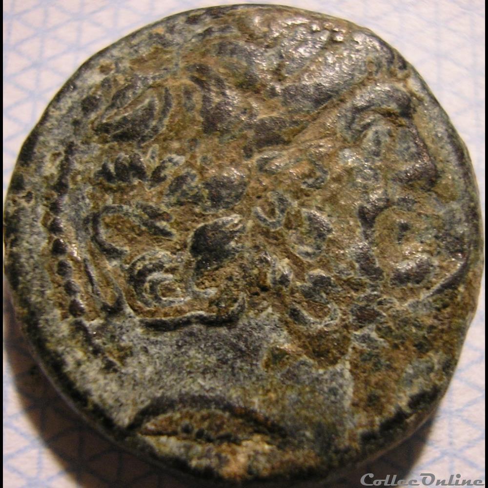 Antiocheia, Seleucis and Pieria - AE18 Dichalkoi 1st century BC. monnaie antique av jc ap grecque antiocheia seleucis and pieria ae18 dichalkoi 1st century bc