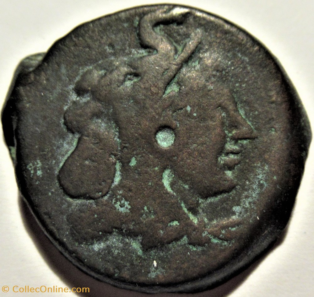 Ptolemy V Epiphanes (204-180 B.C.) - Æ 23 - Coins - Ancient - Greek