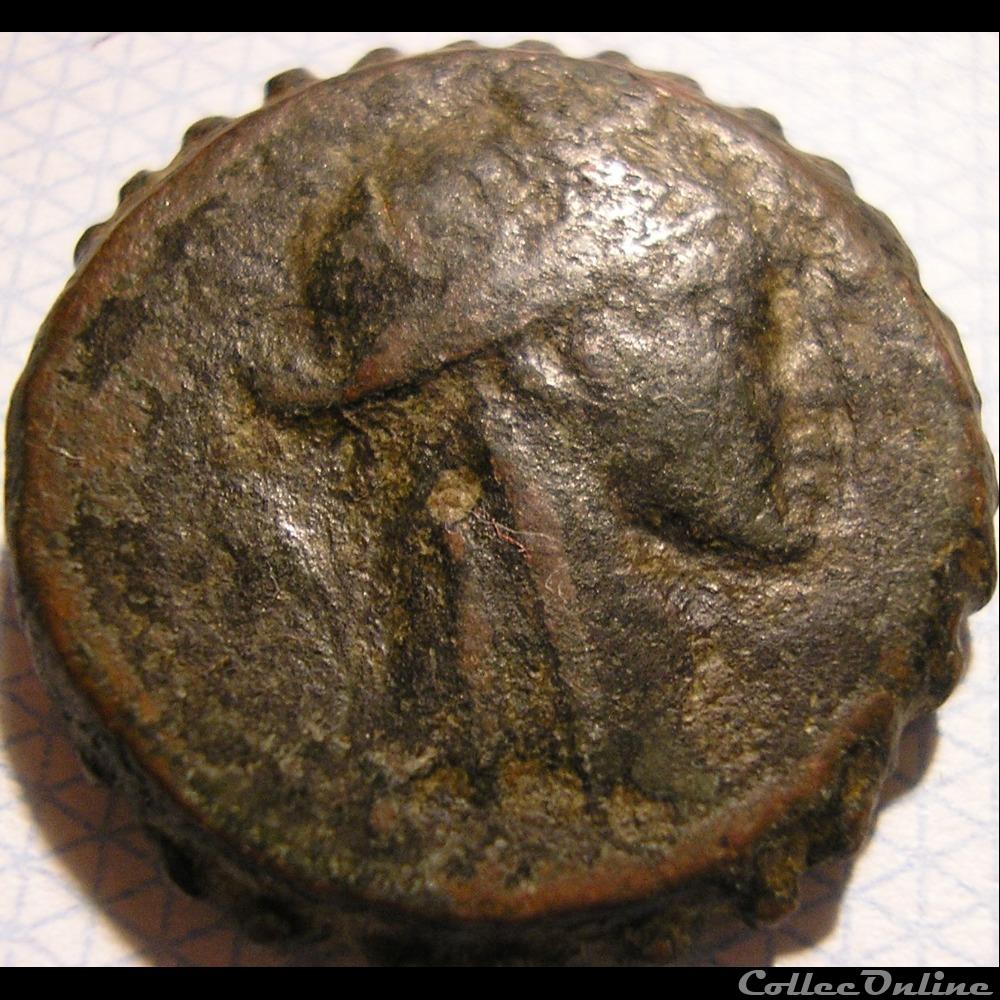 Seleukos IV Philopator 187-165 BC. - AE23 Dichalkon 3 monnaie antique av jc ap grecque seleukos iv philopator 187 165 bc ae23 dichalkon