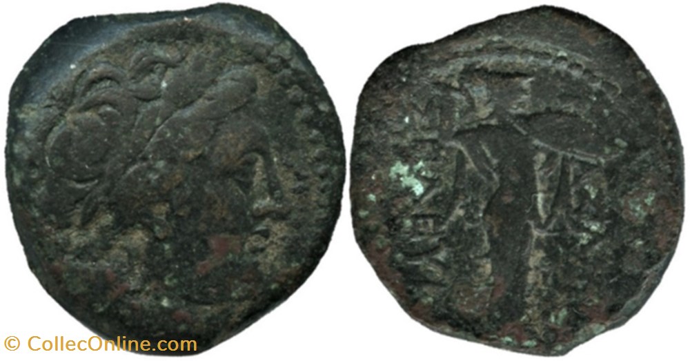 Seleukos I Nikator - AE20 BC. 358-281 / Athena Promachos monnaies antiquite av jc ap grecques seleukos i nikator ae20 bc 358 281 athena promachos