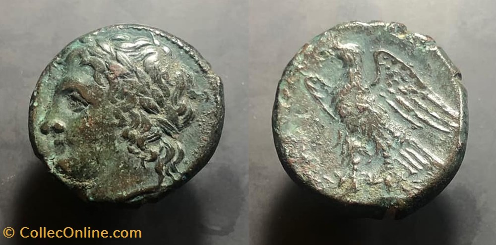 SICILY, Syracuse. Hiketas II coins antique b to greek sicily syracuse hiketas ii