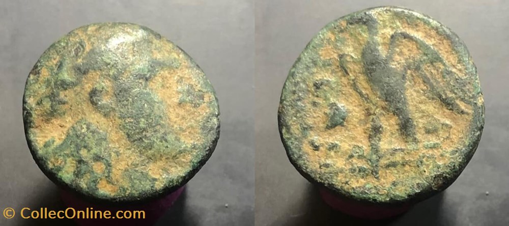 unknown coins antique b c to a greek unknown
