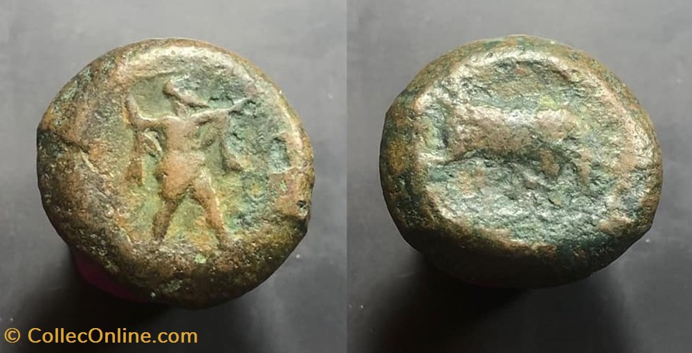 LUCANIA, Poseidonia coins antique b to greek lucania poseidonia