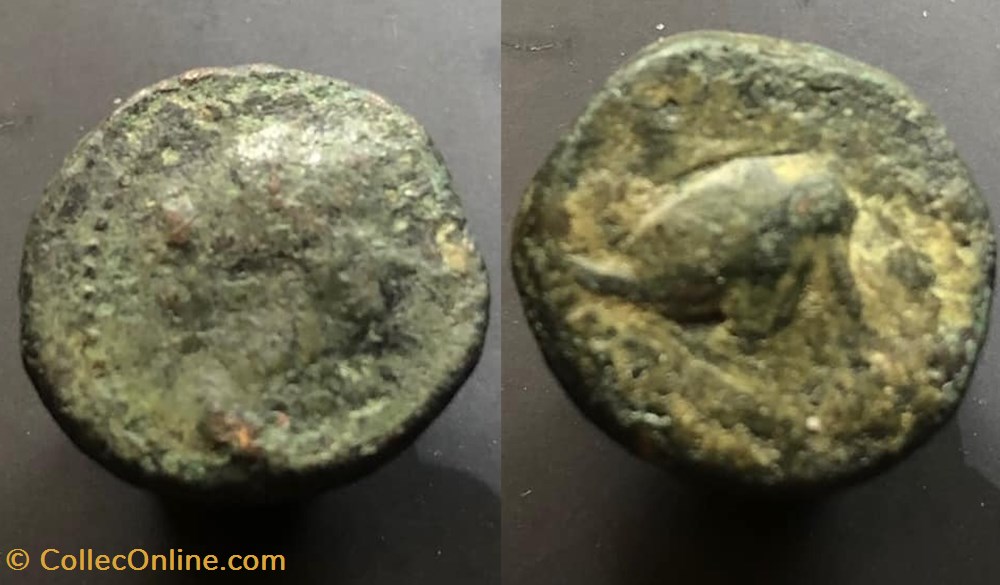 coins antique b to greek antiochos v