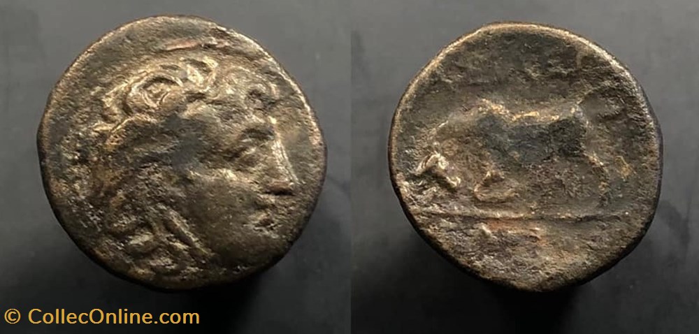 Seleukos I Nikator coins antique b c greek seleukos i nikator