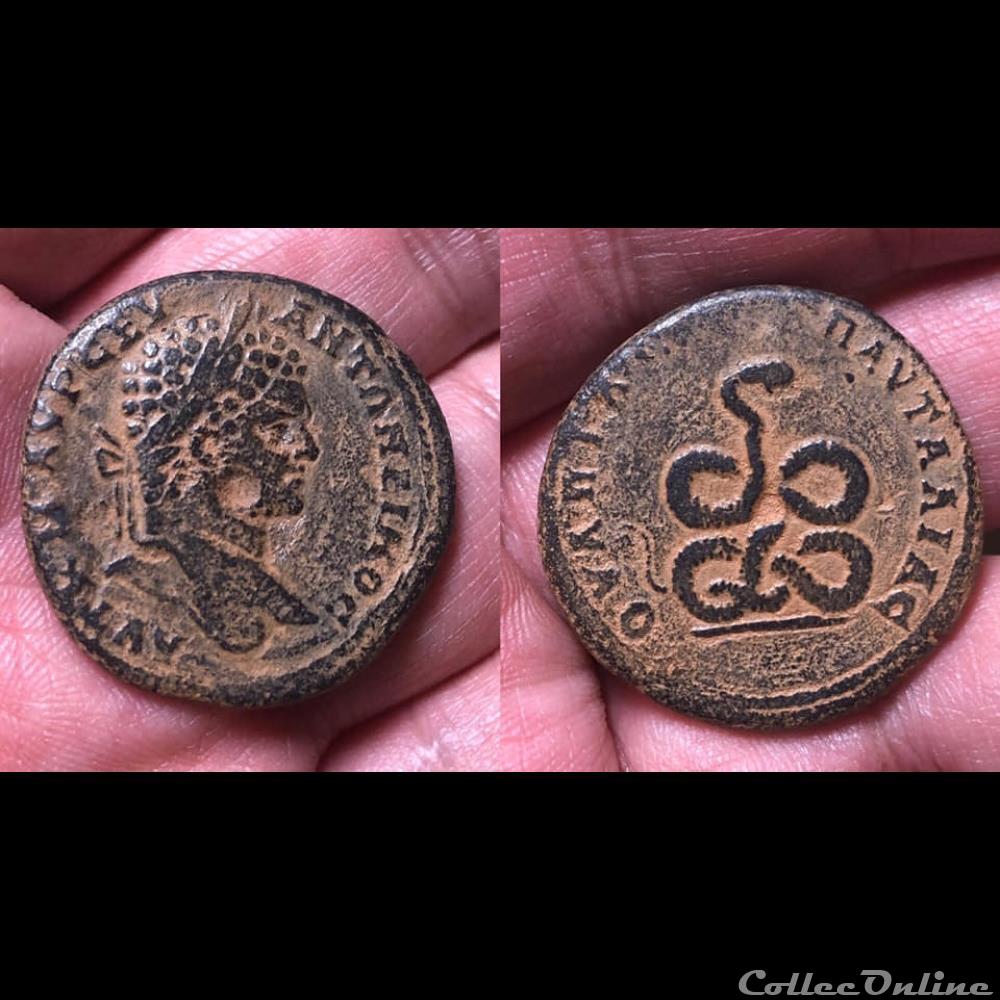 THRACE, Pautalia. Caracalla coin ancient roman provincial thrace pautalia caracalla