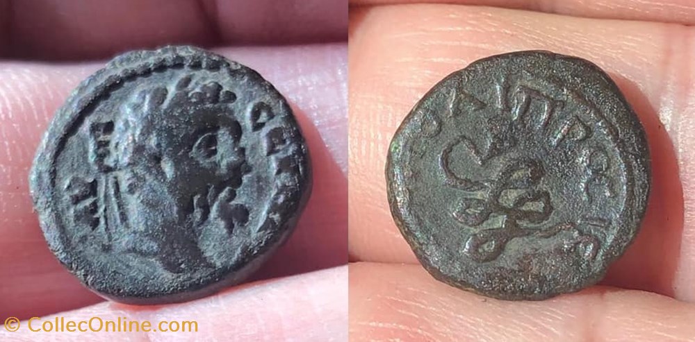 Nikopolis ad Istrum, Septimius Severus coins antique b c to roman provincial nikopolis ad istrum septimius severus