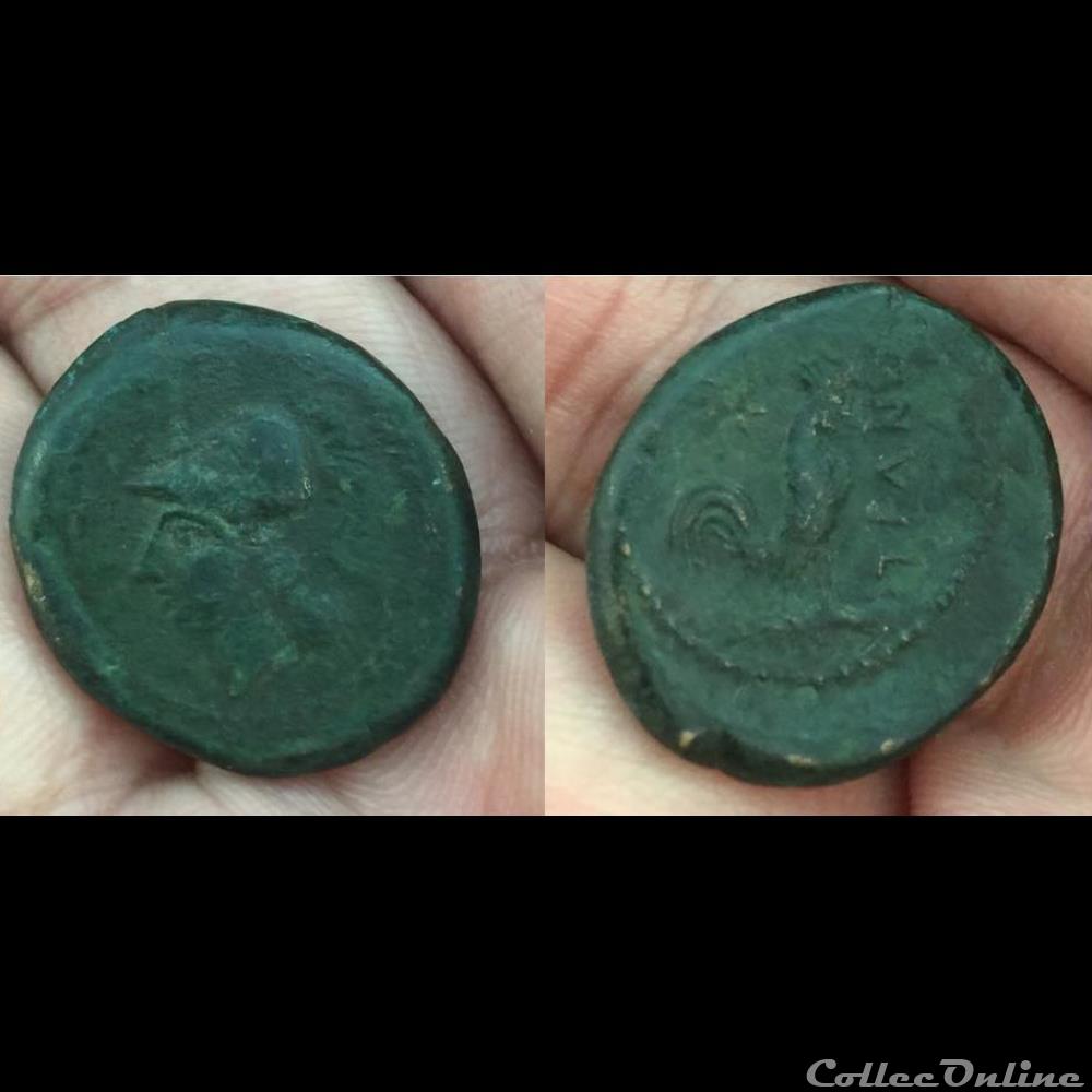 CAMPANIA, Teanum Sidicinum coin ancient greek campania teanum sidicinum