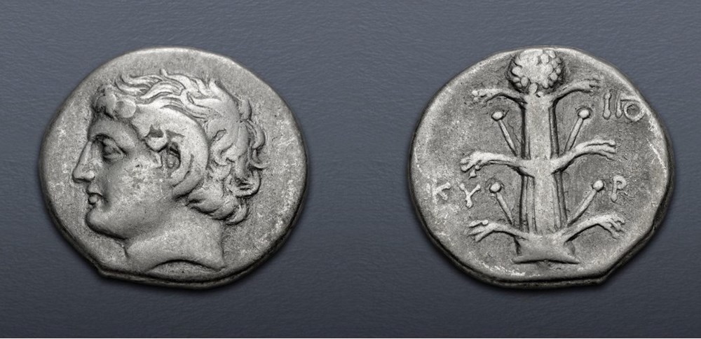coins ancient to greek kyrenaica kyrene