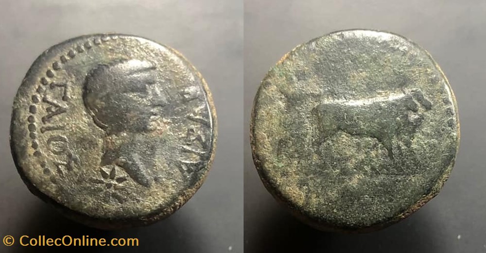 Lydia, Tralles; Caligula coins antique b to roman provincial lydia tralles caligula