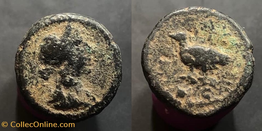 unknown coins antique b c to a greek unknown