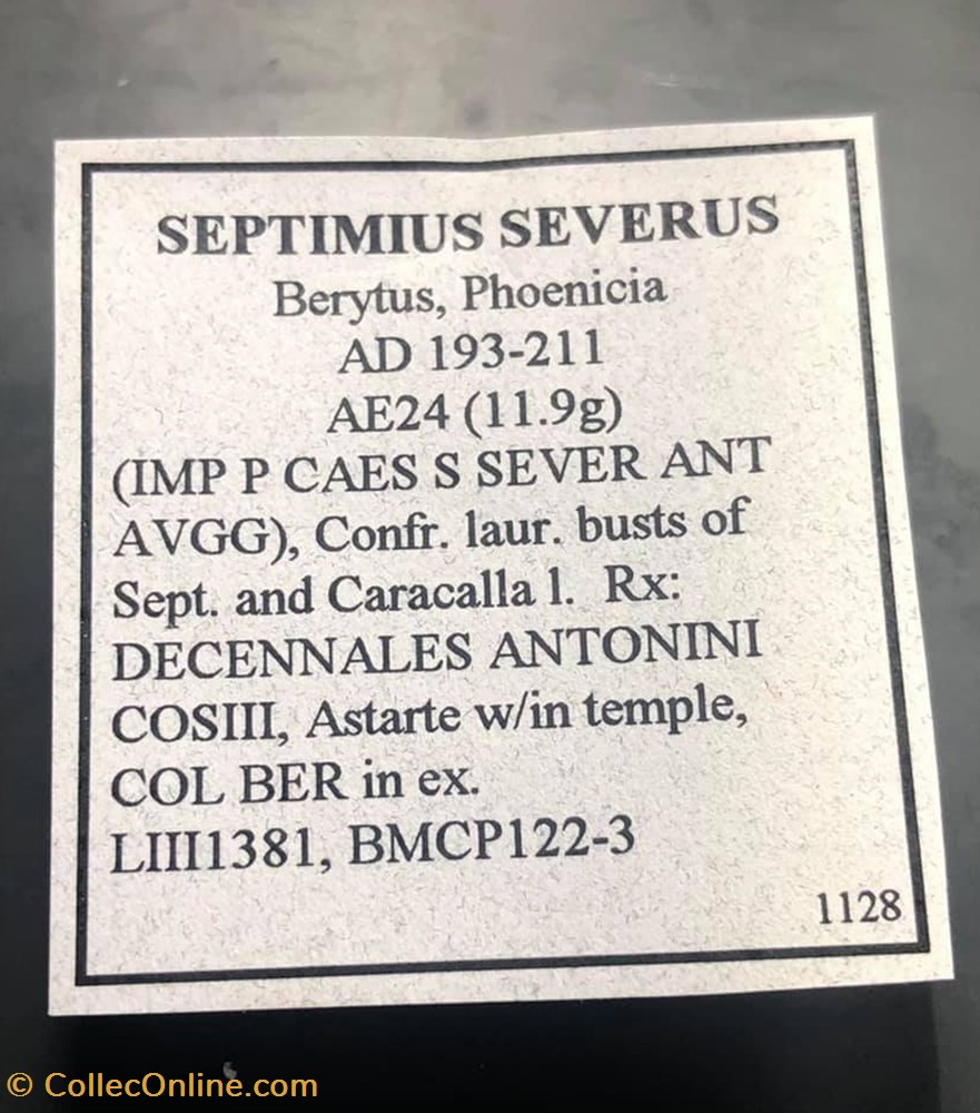 PHOENICIA, Berytus; Septimius Severus coins antique to roman provincial phoenicia berytus septimius severus