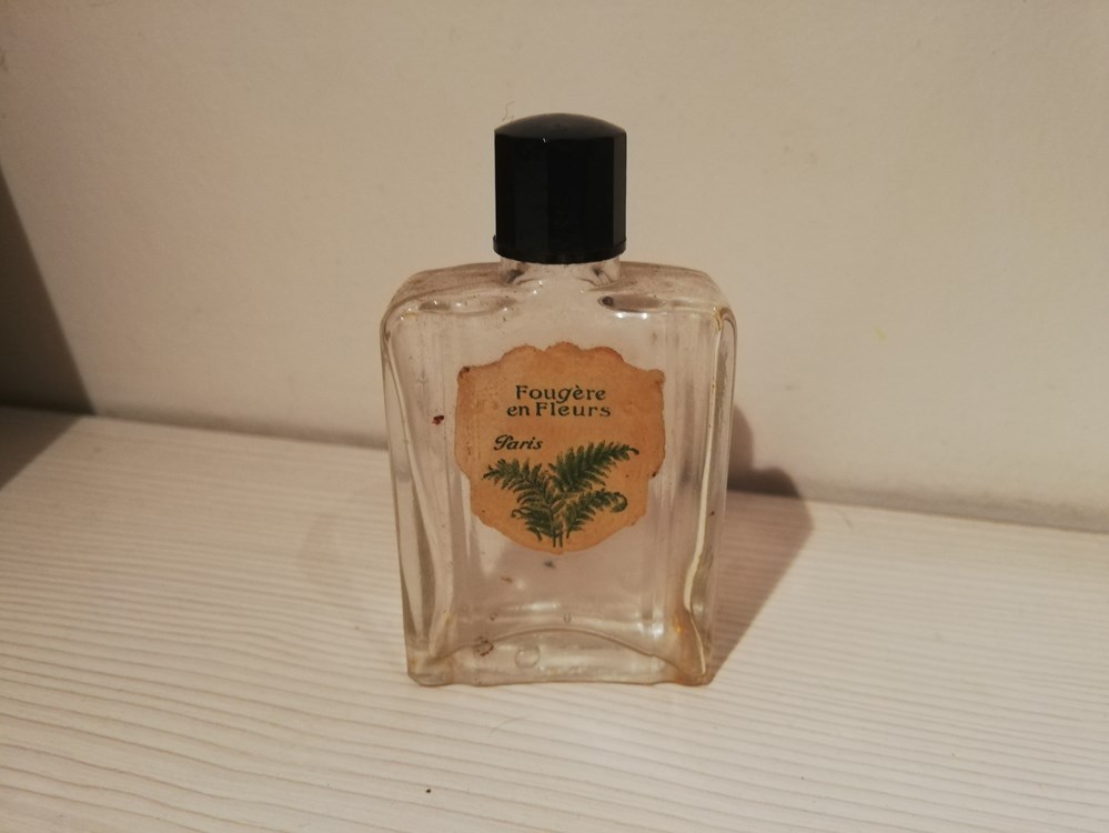 NON IDENTIFIE FOUGERE EN FLEURS parfums beaute miniatures non identifie fougere en fleurs